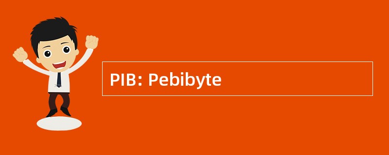 PIB: Pebibyte