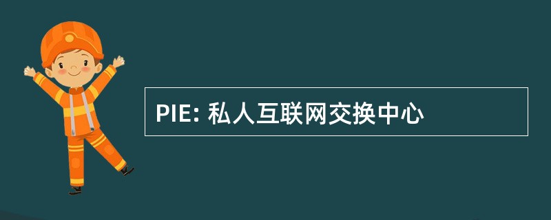 PIE: 私人互联网交换中心