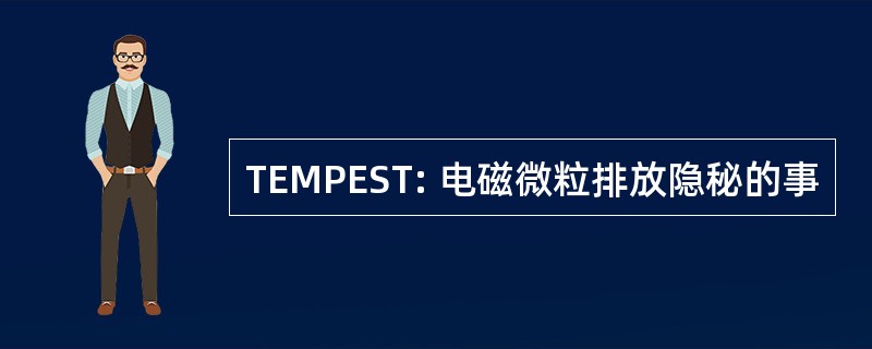 TEMPEST: 电磁微粒排放隐秘的事