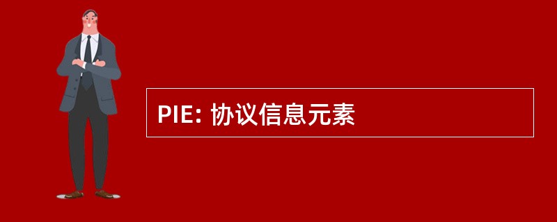 PIE: 协议信息元素