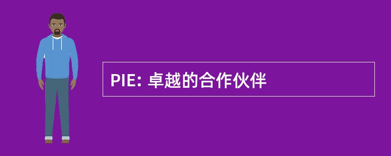 PIE: 卓越的合作伙伴