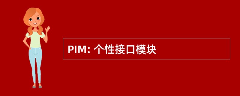 PIM: 个性接口模块