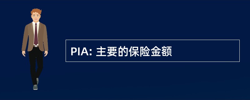 PIA: 主要的保险金额