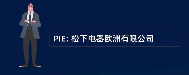 PIE: 松下电器欧洲有限公司