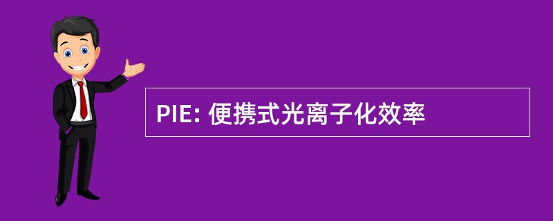 PIE: 便携式光离子化效率