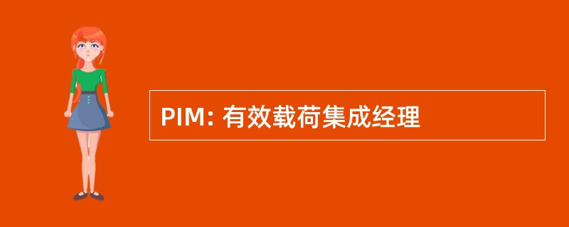 PIM: 有效载荷集成经理