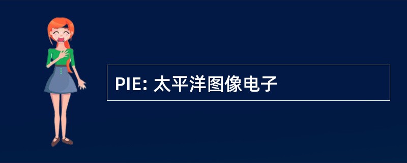 PIE: 太平洋图像电子