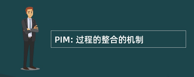 PIM: 过程的整合的机制