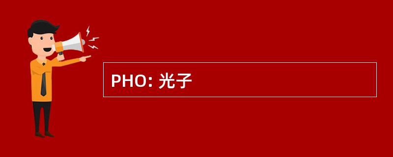 PHO: 光子