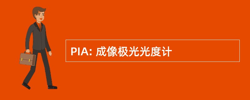 PIA: 成像极光光度计