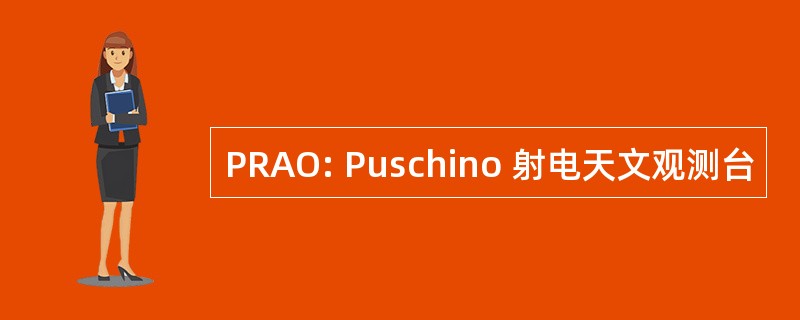 PRAO: Puschino 射电天文观测台