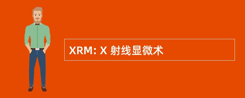 XRM: X 射线显微术