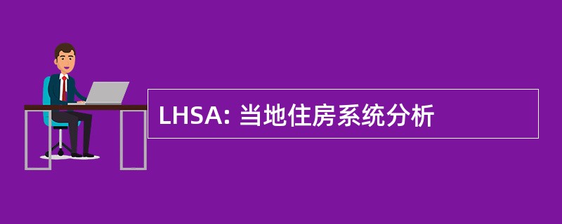 LHSA: 当地住房系统分析