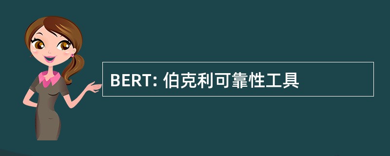 BERT: 伯克利可靠性工具