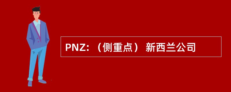 PNZ: （侧重点） 新西兰公司