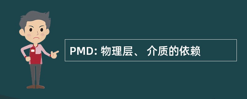 PMD: 物理层、 介质的依赖