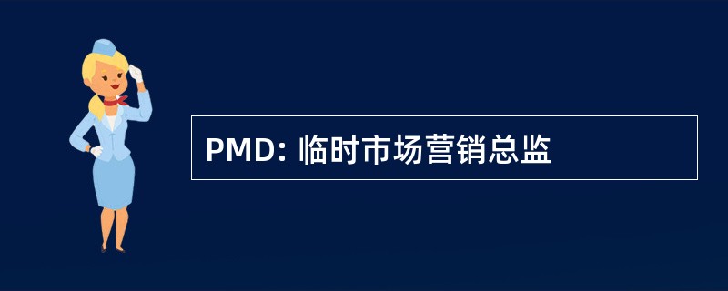 PMD: 临时市场营销总监