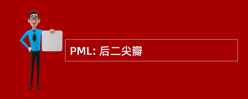 PML: 后二尖瓣