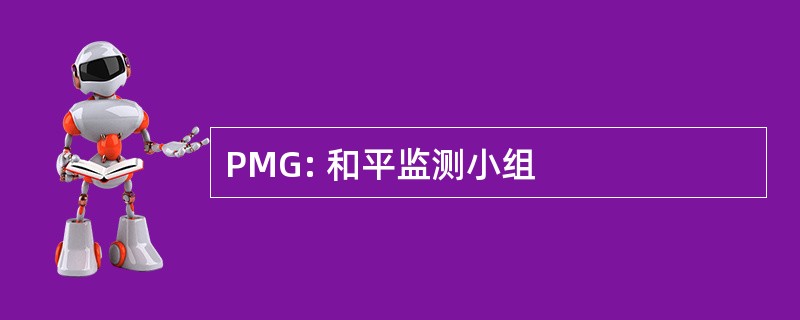 PMG: 和平监测小组