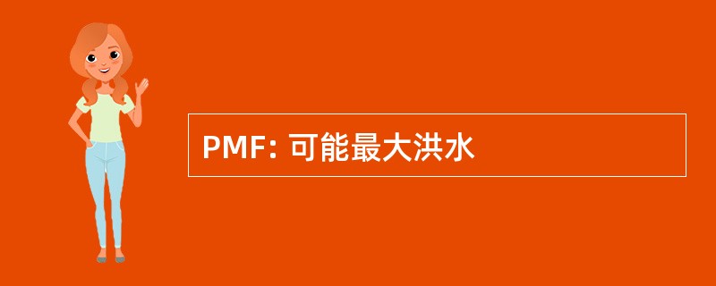 PMF: 可能最大洪水