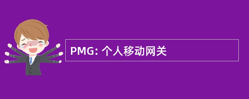 PMG: 个人移动网关