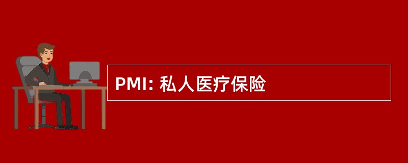 PMI: 私人医疗保险