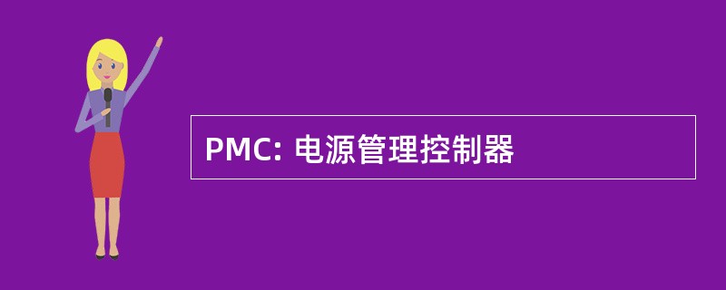 PMC: 电源管理控制器