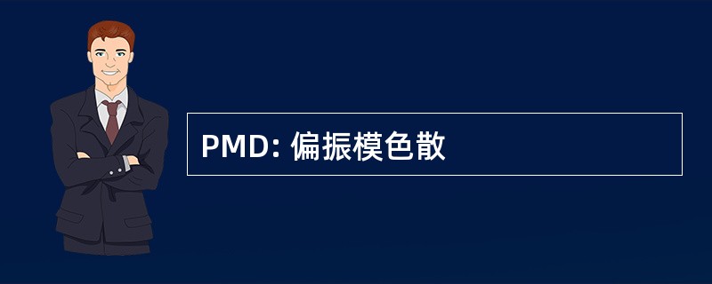 PMD: 偏振模色散