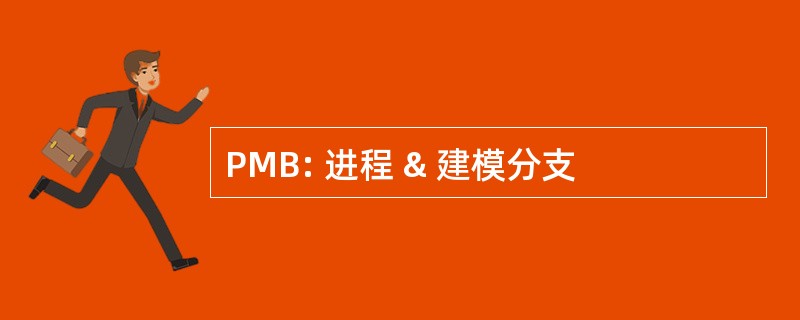 PMB: 进程 & 建模分支