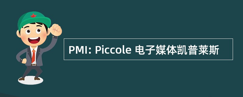 PMI: Piccole 电子媒体凯普莱斯