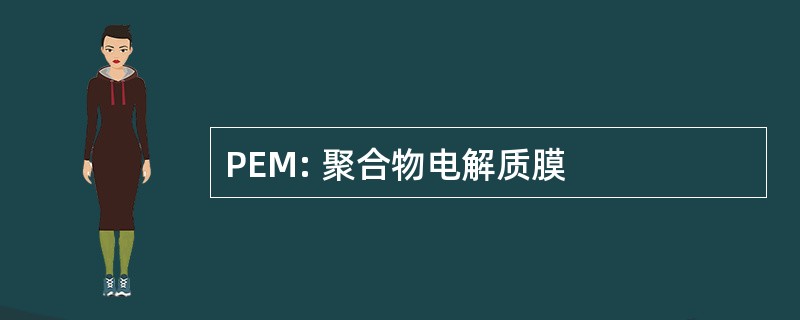 PEM: 聚合物电解质膜