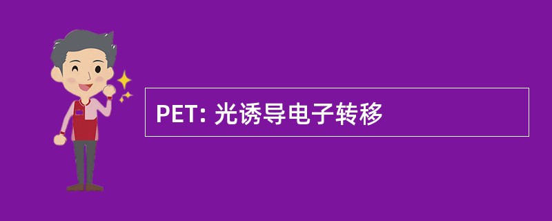 PET: 光诱导电子转移