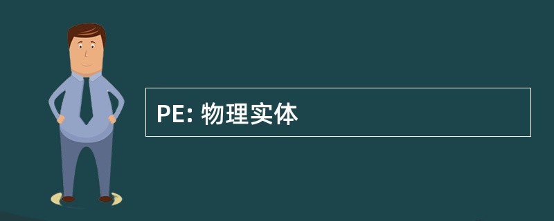 PE: 物理实体