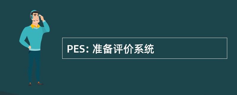 PES: 准备评价系统