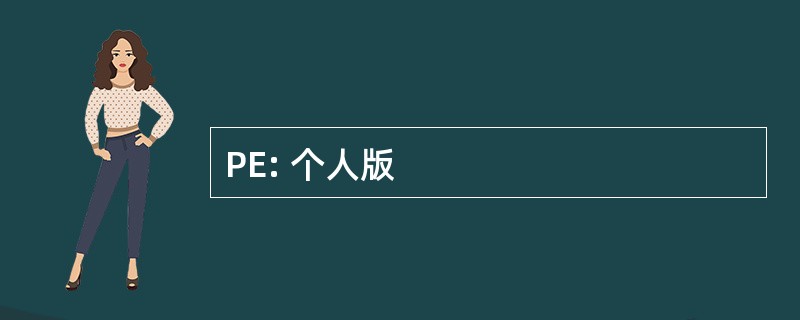 PE: 个人版