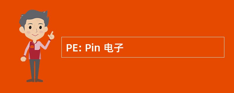 PE: Pin 电子