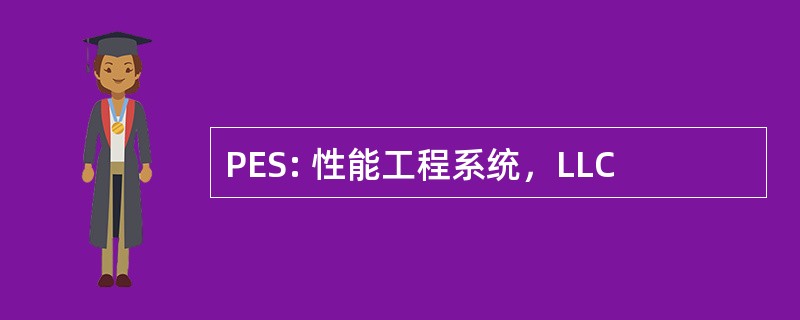 PES: 性能工程系统，LLC