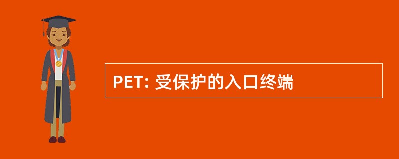 PET: 受保护的入口终端