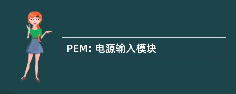 PEM: 电源输入模块