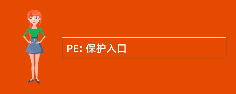 PE: 保护入口