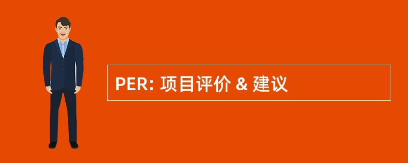 PER: 项目评价 & 建议