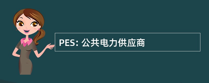 PES: 公共电力供应商