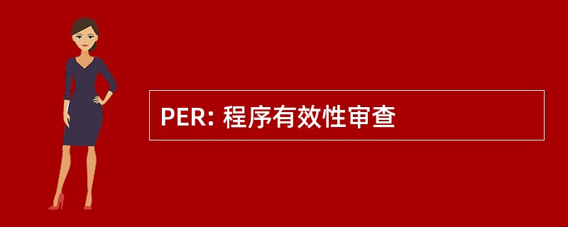 PER: 程序有效性审查