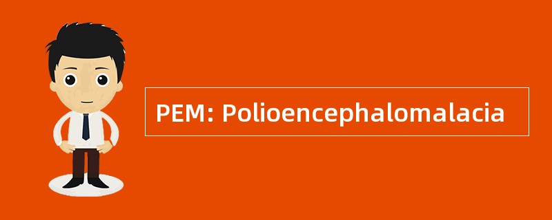 PEM: Polioencephalomalacia