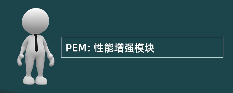 PEM: 性能增强模块