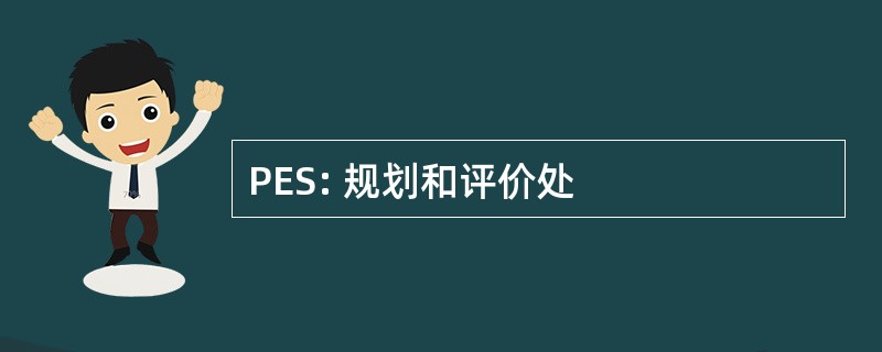 PES: 规划和评价处