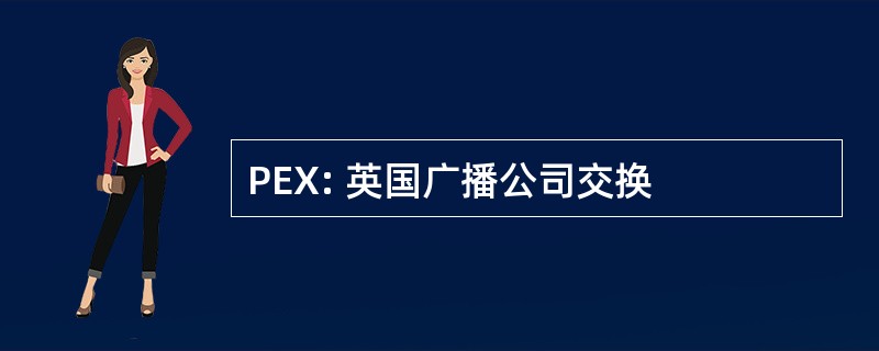 PEX: 英国广播公司交换