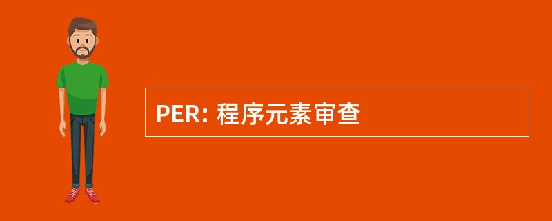 PER: 程序元素审查