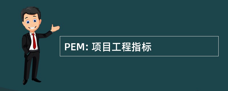 PEM: 项目工程指标