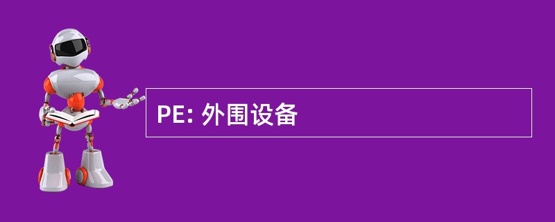 PE: 外围设备